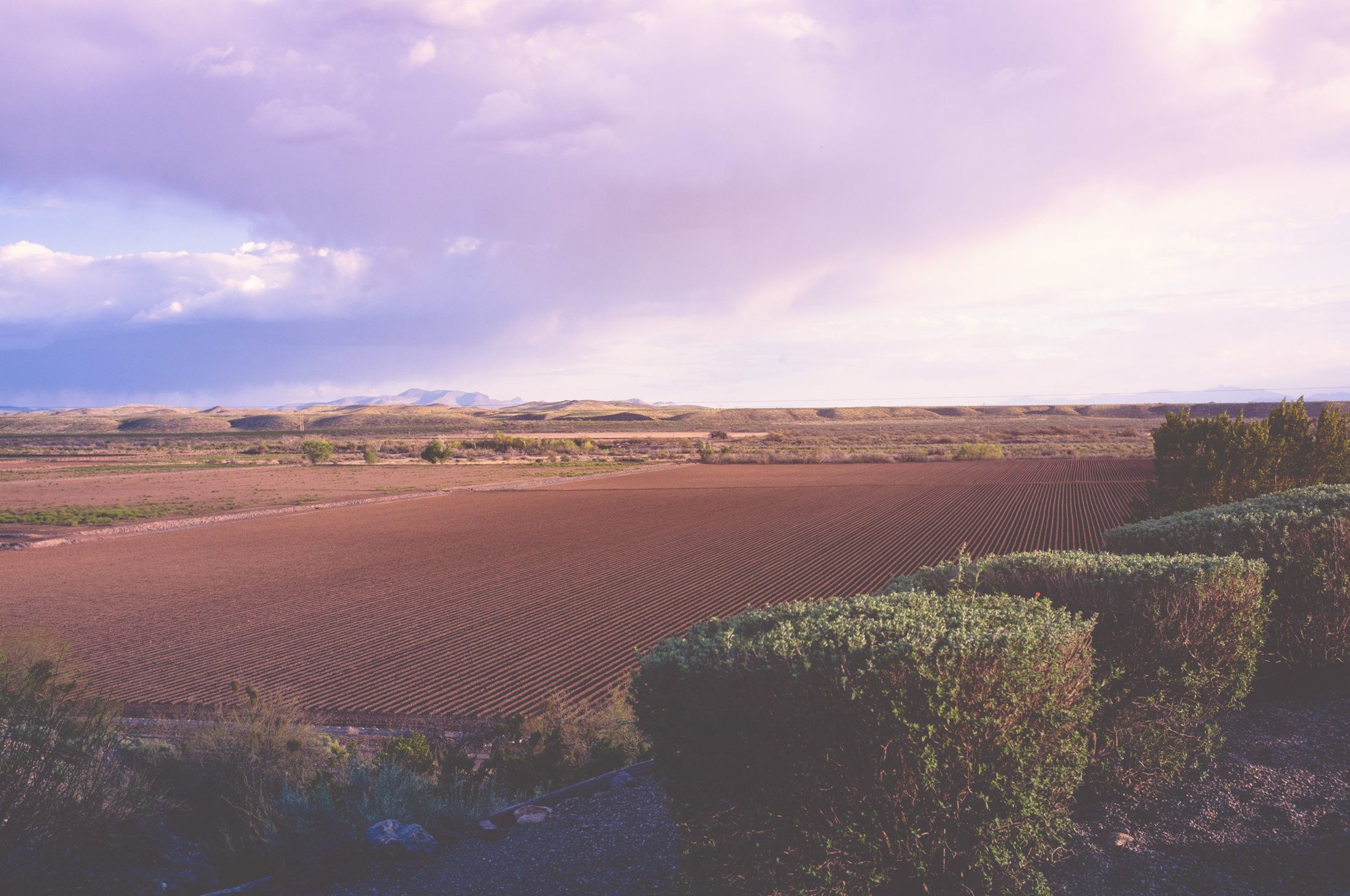 Sunset over fields in Southern Arizona