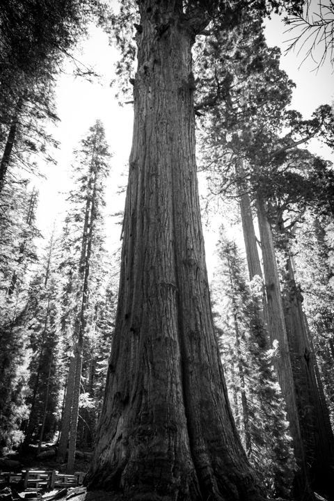 Landscape and travel photography by Dylan Bush