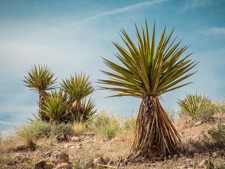Landscape and travel photography by Dylan Bush