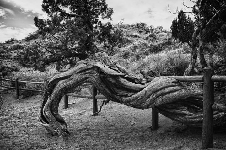 Landscape and travel photography by Dylan Bush